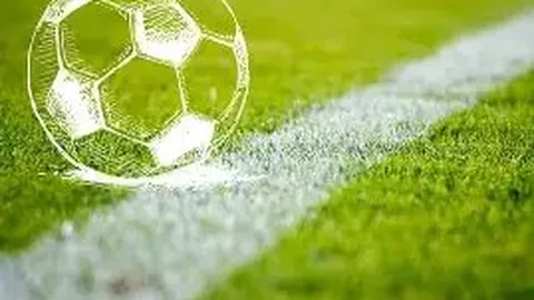 kaiyun·开云（中国）